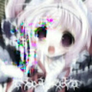 Meet your Posher, Isabelle